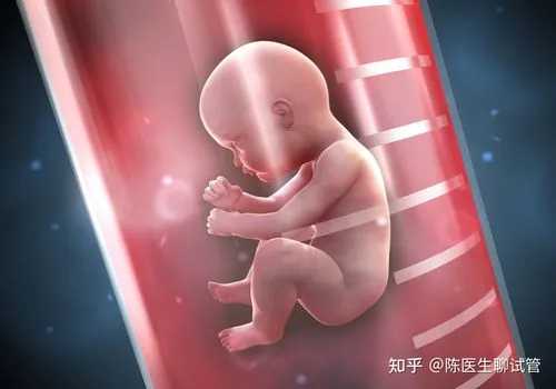 广州供卵试管包生男孩的助孕流程,广州金贝供卵多少钱_时俊